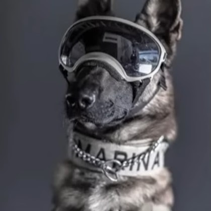 Avatar de eldocdeneras