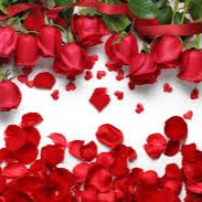 profile image of i kousar