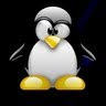 Image pertaining to RAY LINUX