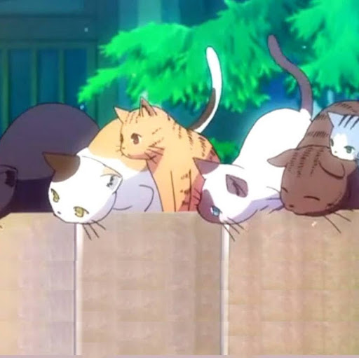 Brenda flores san juan