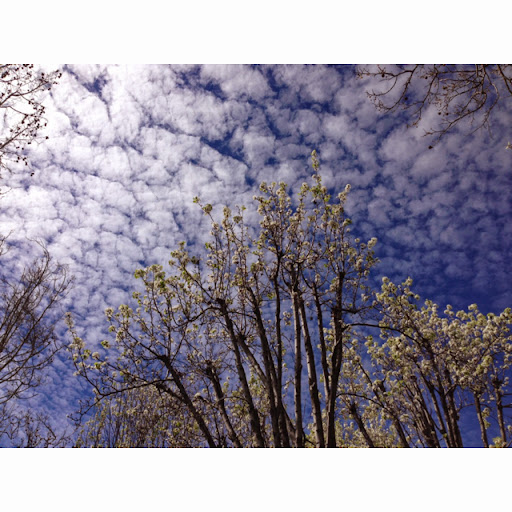 Cindy Wu 的大頭貼