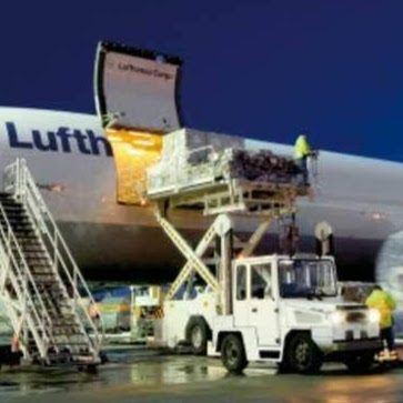 Import_ Samudera's avatar