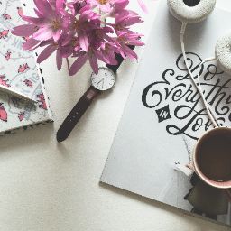 profile image of Sireeshamanoj