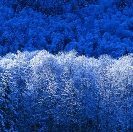 Alexios Blake's avatar