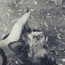 Zeynep