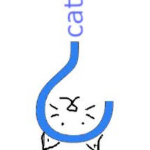 Image pertaining to SERG DEV.