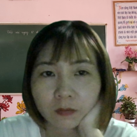ha vi tran