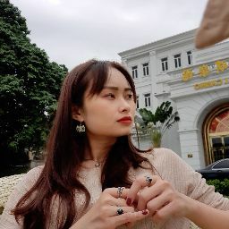 Vân Anh Vũ