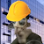 Chintzygnat7