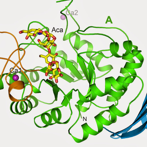 Centre for Chemical Biology USM