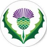 program Thistle's user avatar