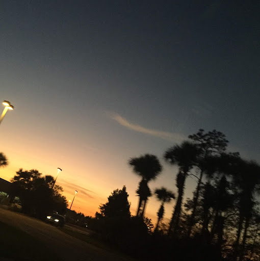 big and best chemist