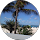 TSN Avatar