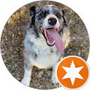 fabien triffault profile picture