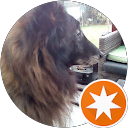 Solange Charlent profile picture