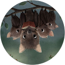 Leora WILLAMME profile picture