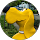 Stephen Riley profile picture