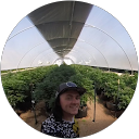 M Norden profile picture