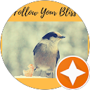 Follow Your Bliss
