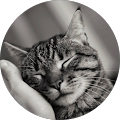 Review author photo