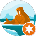 hana sumire profile picture