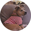 Tamira Hawkins Gundogdu