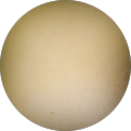 brown sugar477