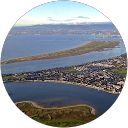 Donal McGuirk profile picture