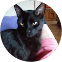 Thalia Savvaidou profile picture