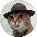 Doctor Gato
