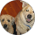 Mary Betro profile picture