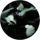 Jantine de Graaf profielfoto