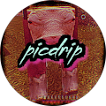 PICDriP