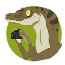 Photography Raptor