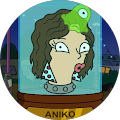 aniko adany