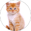 Kathryn Pennington profile picture