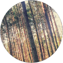 Izabela Gnerowicz profile picture