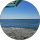 G D profile picture