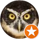 Alistair Rees profile picture