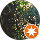 Sarah Baudry Sarahqi_inthewoods profile picture
