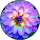 Patricia Palma profile picture