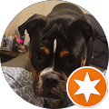 xRoger Dabbitx (xRogerDabbitx)