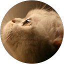 Megu F
