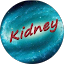 Kidney