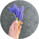 Dawn Hunsdorfer (Violet Hill Flower Co.)