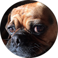 Peggy