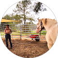 Allison Davis-Lollie Performance Horses & Mustangs