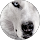 Alexandra Mendez profile picture