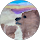 VM S profile picture