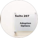 Adoption Options